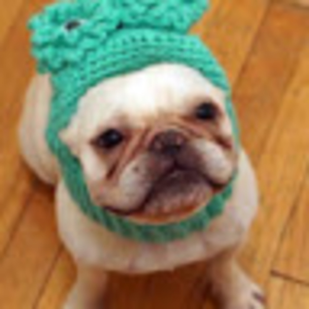 Meet your Posher, E s